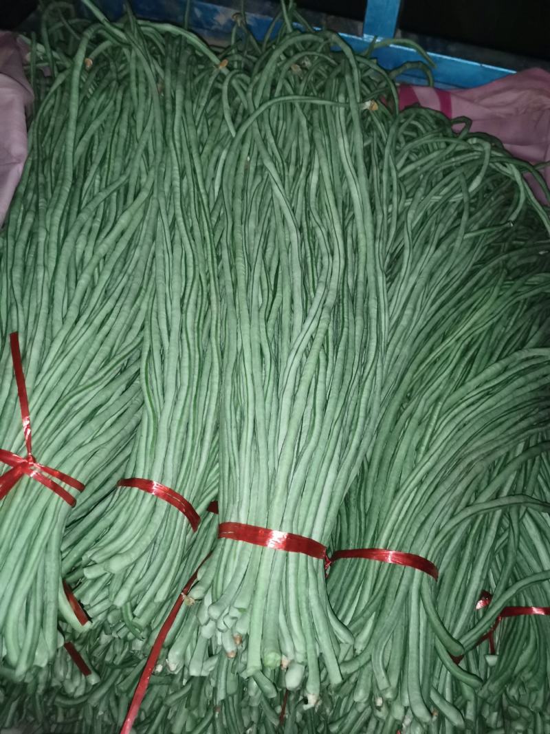 我处有，长隆豆角，质量很好，