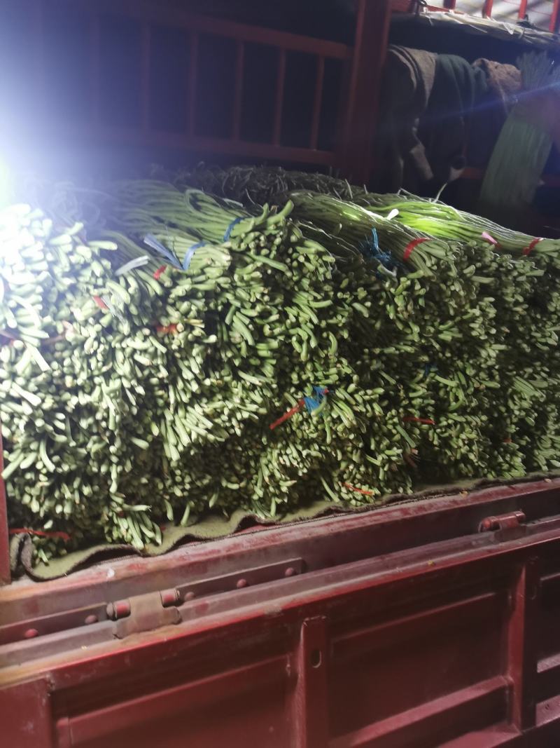 我处有，长隆豆角，质量很好，