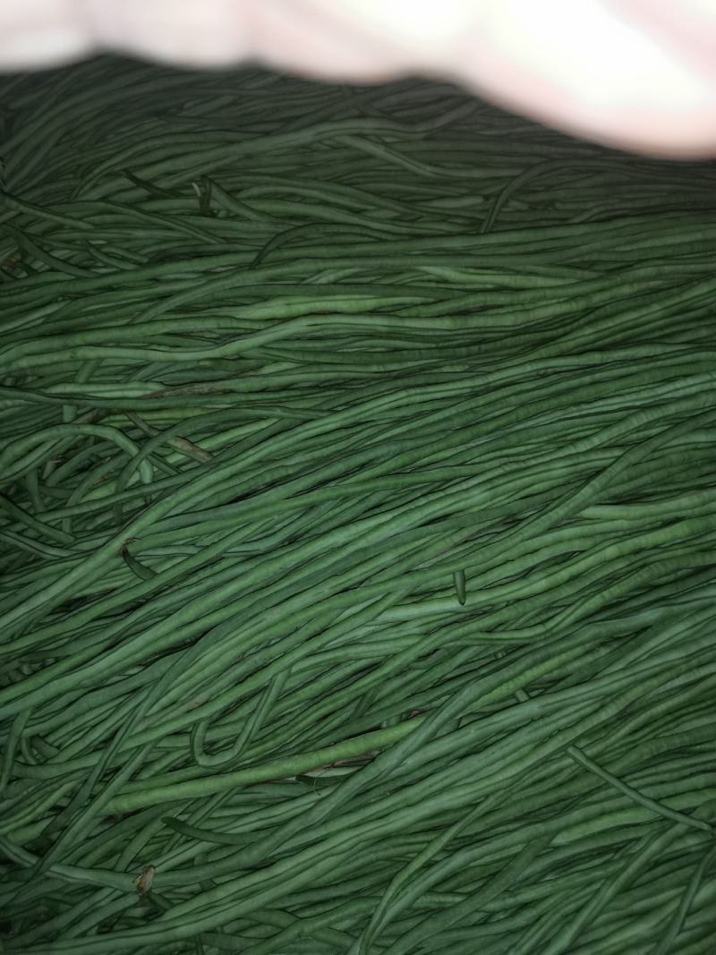 我处有，长隆豆角，质量很好，