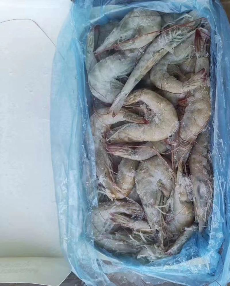 青虾厂家直销，一手货源