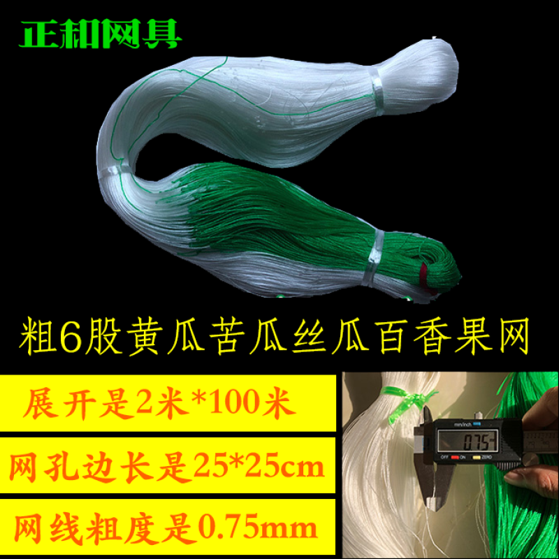 植物爬藤网黄瓜网苦瓜网豆角网南瓜网柑橘百香果攀爬网支架网