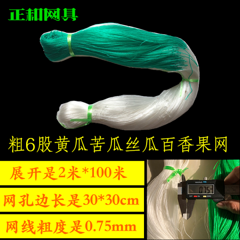 植物爬藤网黄瓜网苦瓜网豆角网南瓜网柑橘百香果攀爬网支架网