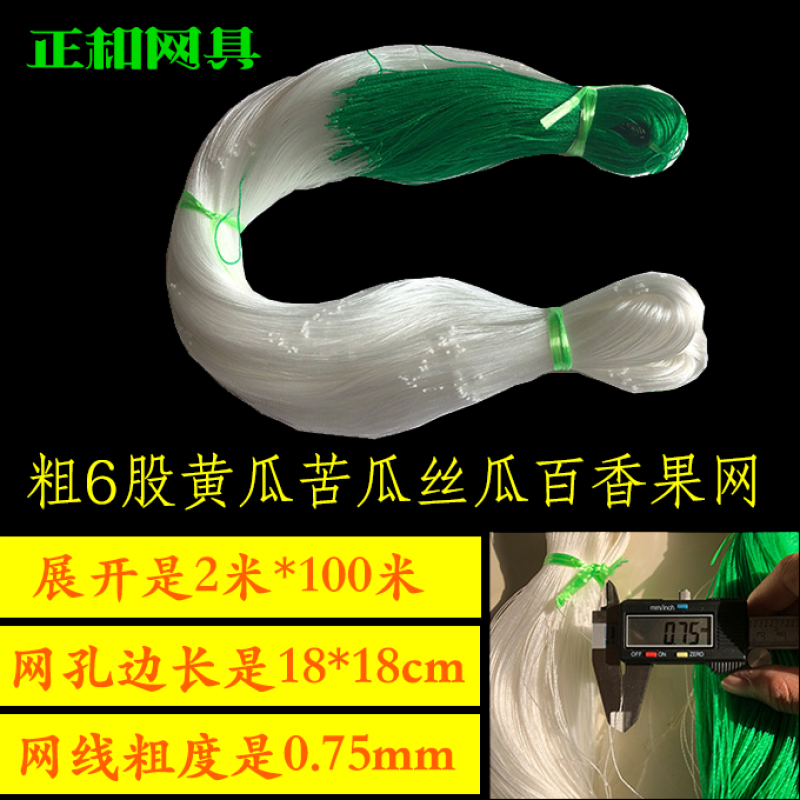 植物爬藤网黄瓜网苦瓜网豆角网南瓜网柑橘百香果攀爬网支架网