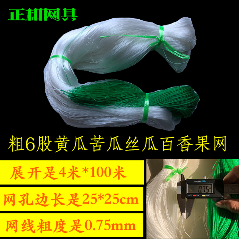 植物爬藤网黄瓜网苦瓜网豆角网南瓜网柑橘百香果攀爬网支架网
