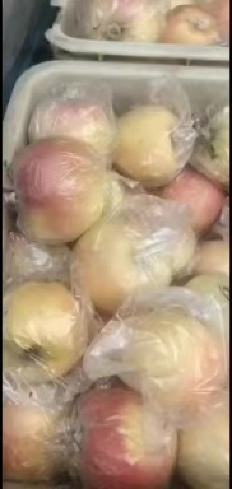 山东冠县嘎啦苹果美八苹果
