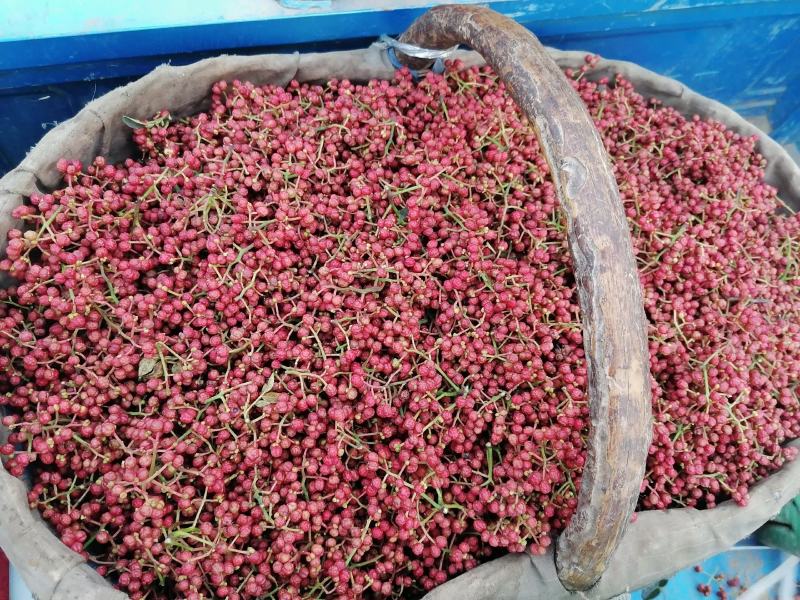 大红袍花椒(包邮图片实拍)特香，特麻，特净，颜色正
