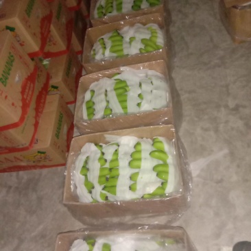 越南精品基地香蕉净重二十三斤三十八元一件