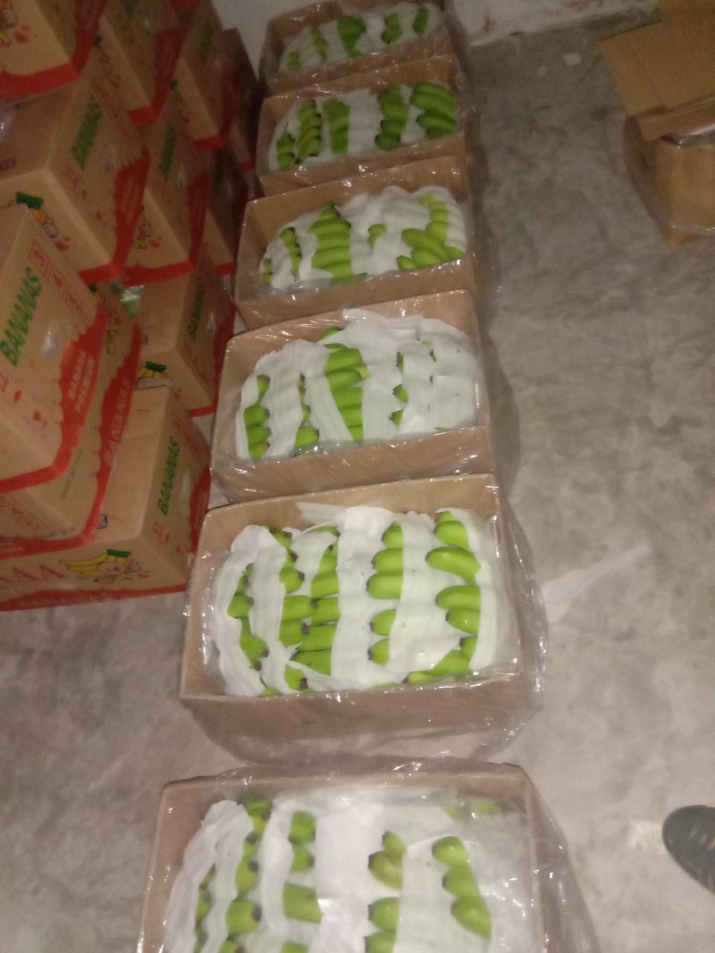 越南精品基地香蕉净重二十三斤三十八元一件