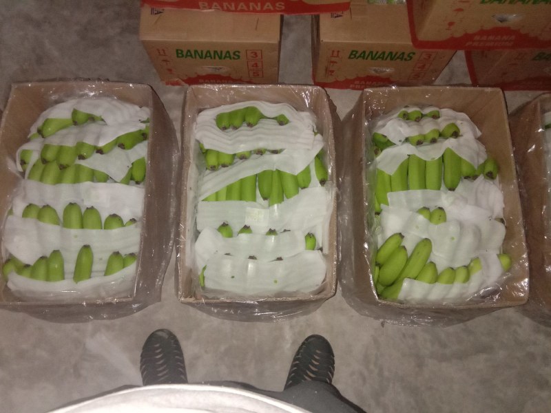 越南精品基地香蕉净重二十三斤三十八元一件