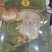 精品冻干各种规格松茸10包邮