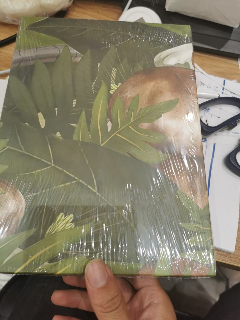 精品冻干各种规格松茸10包邮