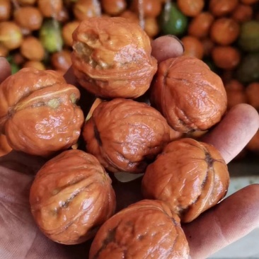 核桃，鲜核桃，青皮，皮薄肉多