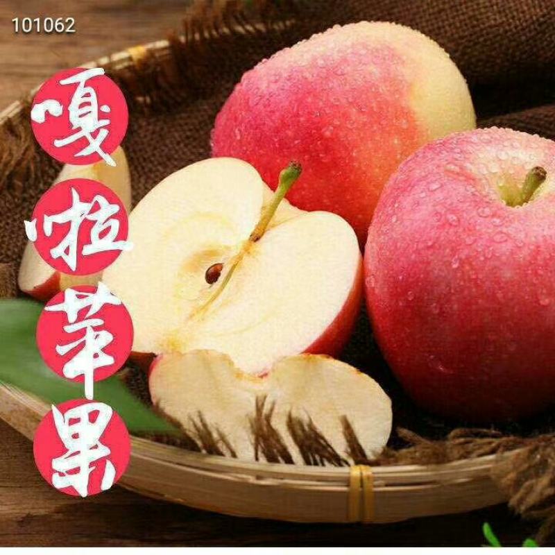 陕西青红嘎啦苹果脆甜多汁