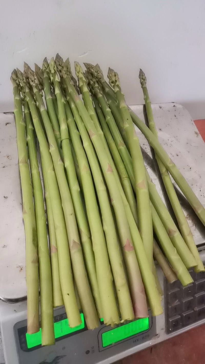 芦笋皖南绿芦笋黄山绿芦笋农家菜芦笋油焖爆炒凉拌家常菜