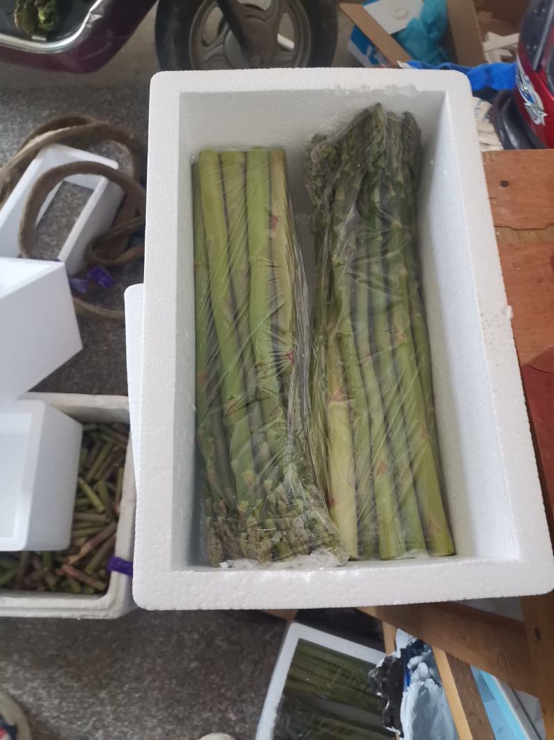 芦笋皖南绿芦笋黄山绿芦笋农家菜芦笋油焖爆炒凉拌家常菜