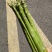 芦笋皖南绿芦笋黄山绿芦笋农家菜芦笋油焖爆炒凉拌家常菜