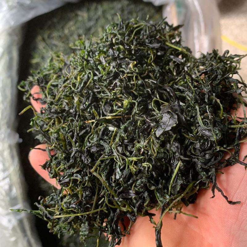 小叶苦丁茶苦丁茶新货批发各种花草茶品质保证