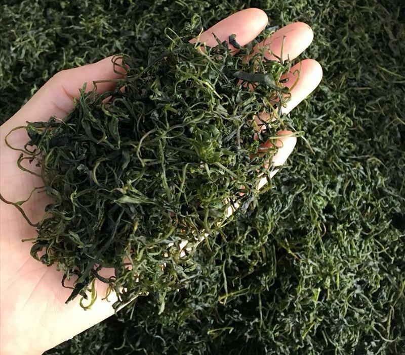 小叶苦丁茶苦丁茶新货批发各种花草茶品质保证