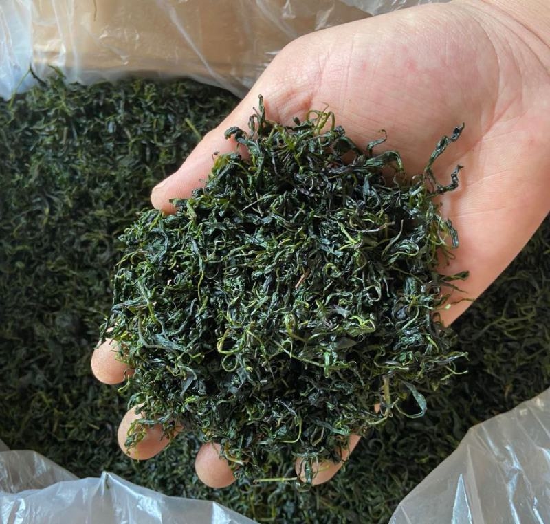 小叶苦丁茶苦丁茶新货批发各种花草茶品质保证