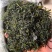 小叶苦丁茶苦丁茶新货批发各种花草茶品质保证