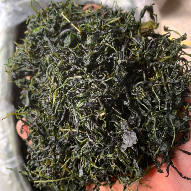 小叶苦丁茶苦丁茶新货批发各种花草茶品质保证