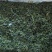 小叶苦丁茶苦丁茶新货批发各种花草茶品质保证