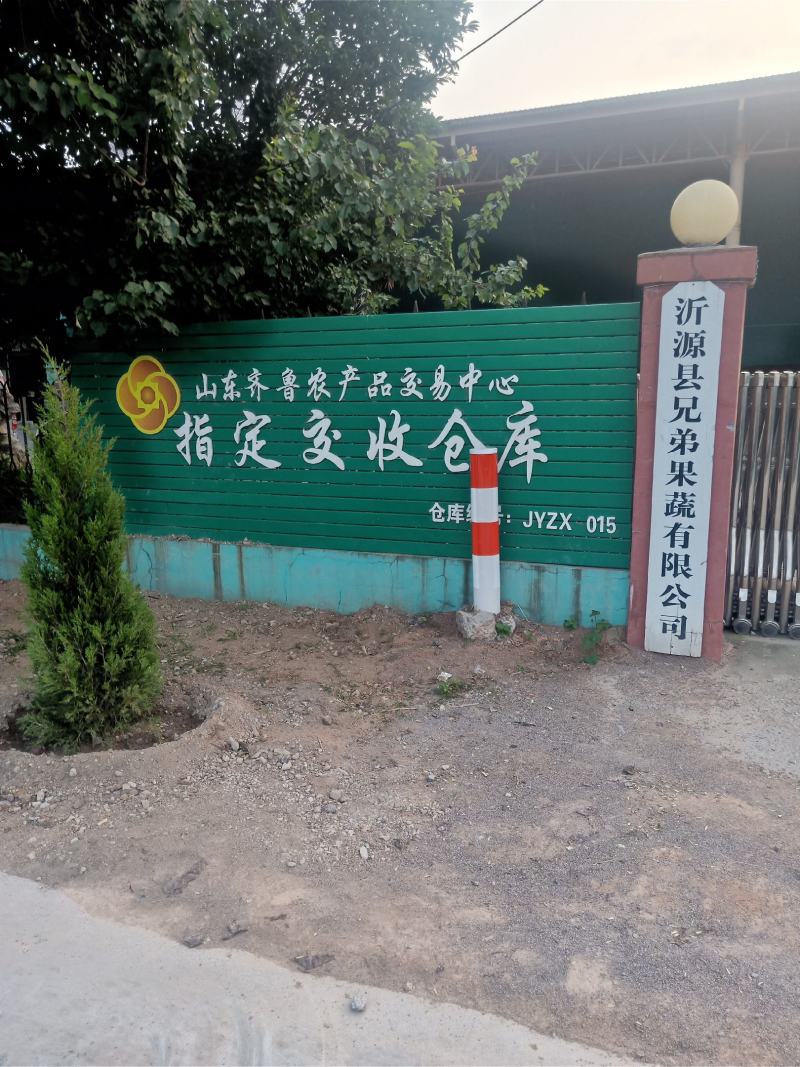 【精选】苹果红富士苹果，产地直销可视频看货