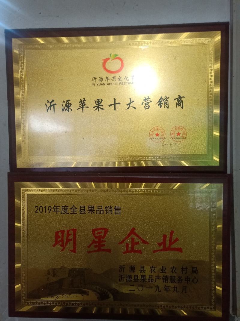【精选】苹果红富士苹果，产地直销可视频看货