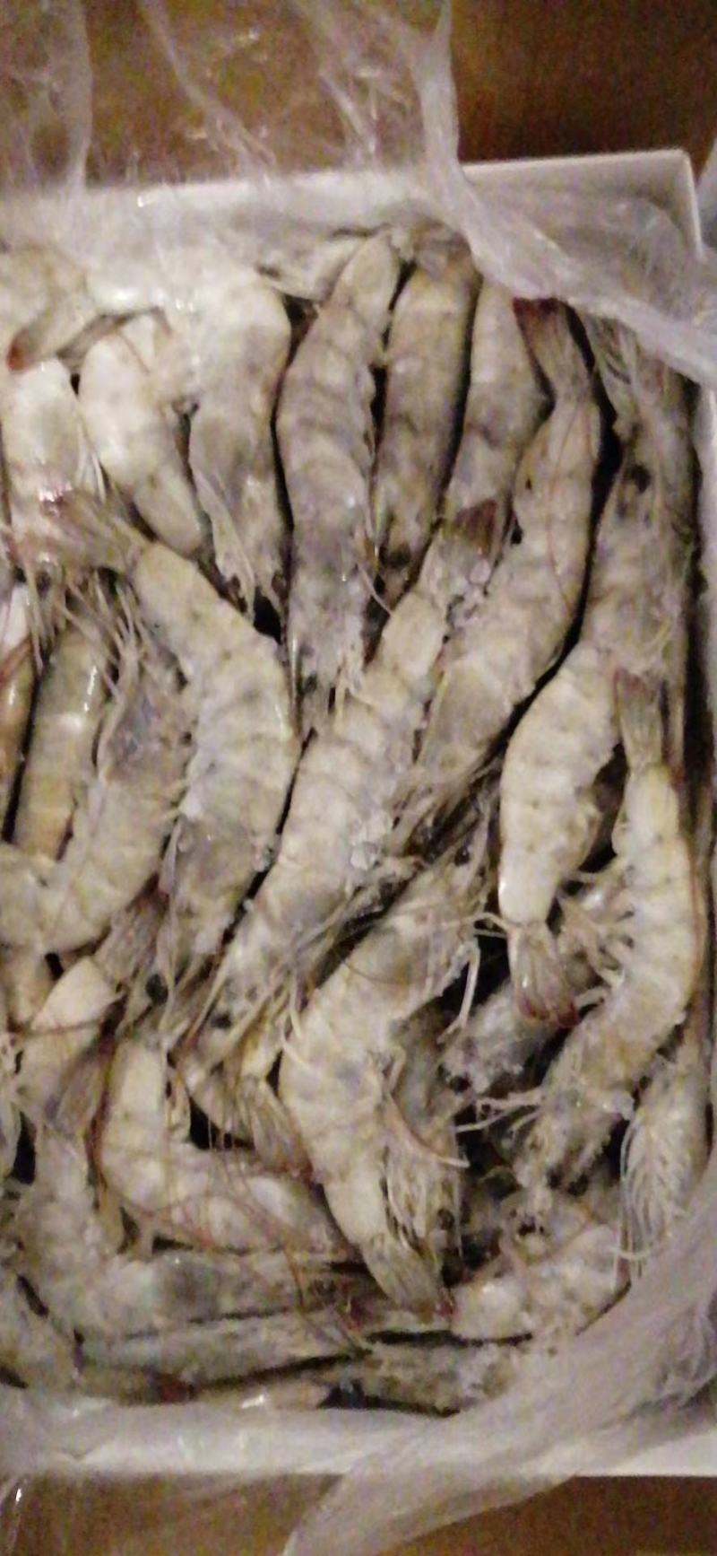 143厂块冻南美白虾系列