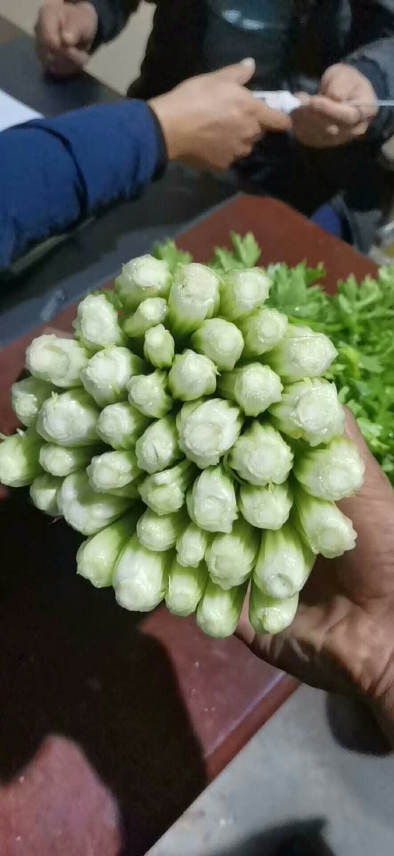 西芹，毛芹，小药芹大量上市，货量充足。