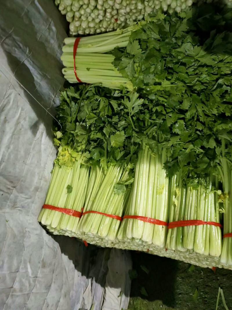 西芹，毛芹，小药芹大量上市，货量充足。