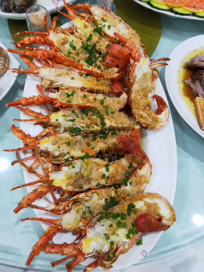 小青龙、酒店、自助餐店、日料店专用、上海一手货源批发。