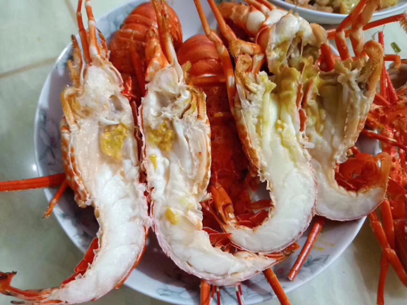 小青龙、酒店、自助餐店、日料店专用、上海一手货源批发。