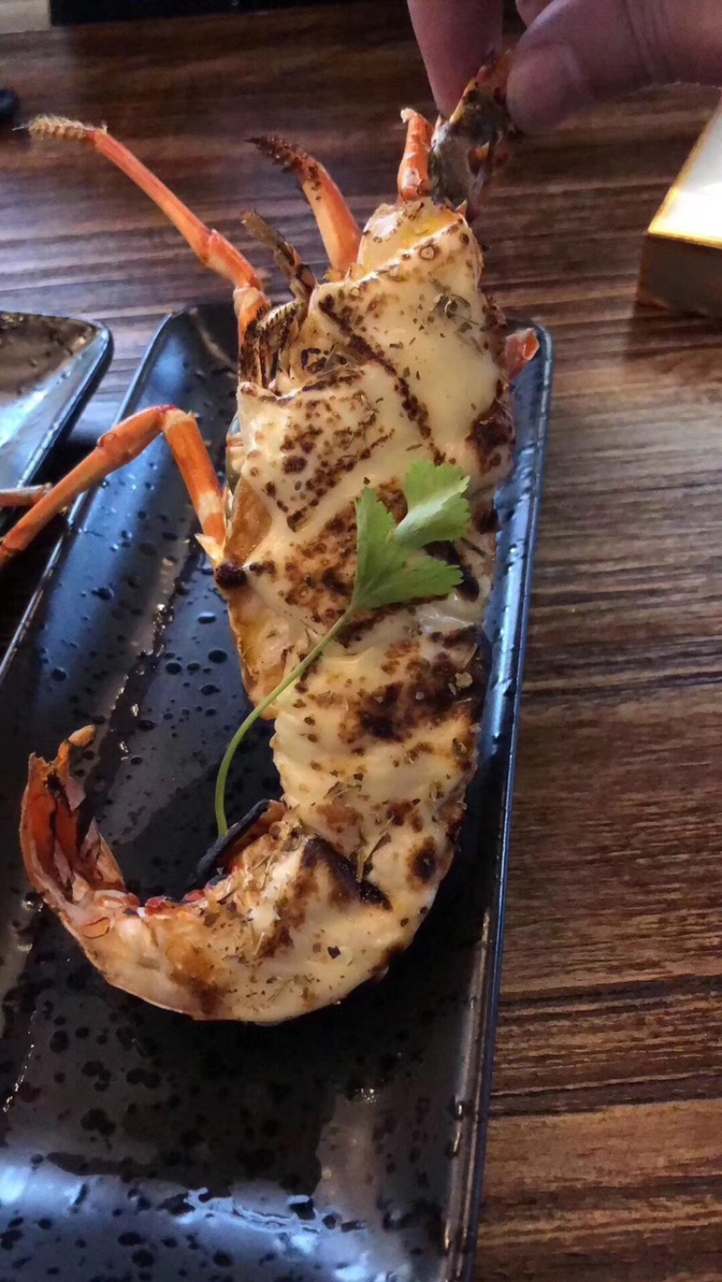 小青龙、酒店、自助餐店、日料店专用、上海一手货源批发。