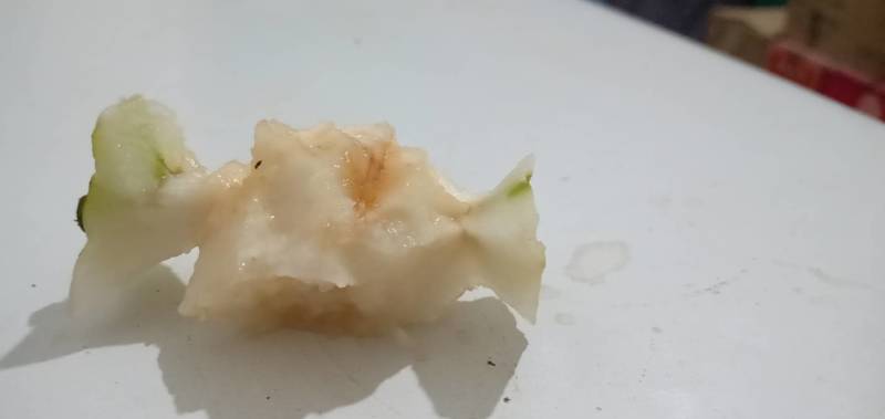 千亩山坡地梨园产地直供