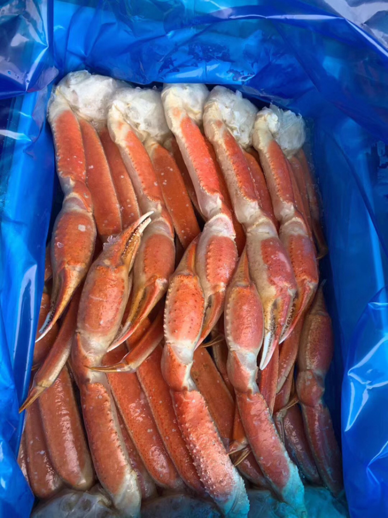 雪蟹脚、10斤一件自助餐食材上海一手货源批发。