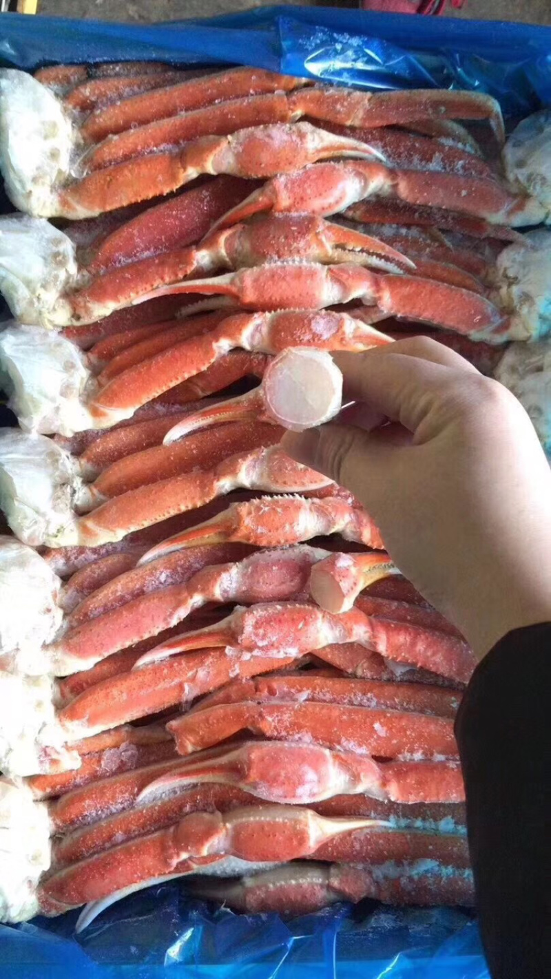 雪蟹脚、10斤一件自助餐食材上海一手货源批发。