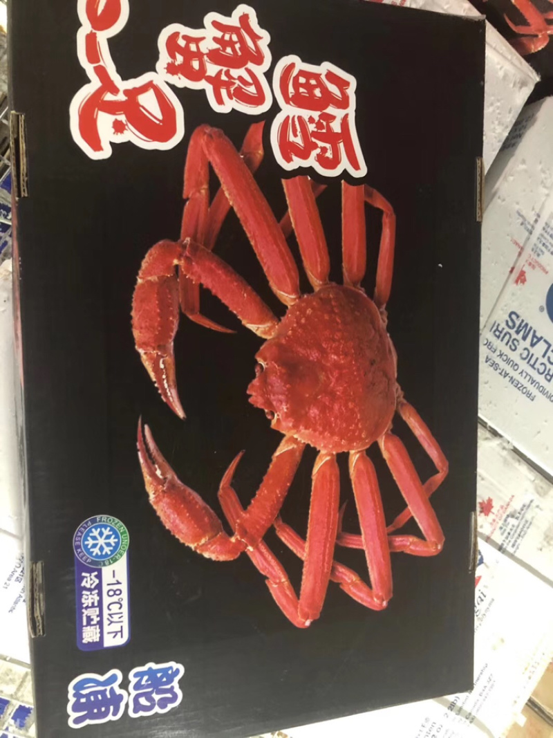 雪蟹脚、10斤一件自助餐食材上海一手货源批发。