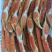 雪蟹脚、10斤一件自助餐食材上海一手货源批发。