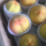 精品大黄桃，包甜，水分多！