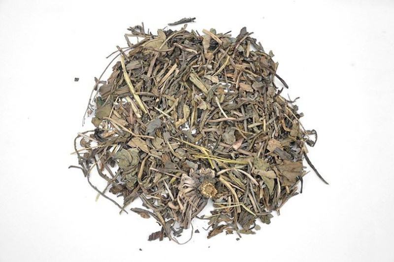 大青叶蓝叶正品保障各种规格专业经营中药批发