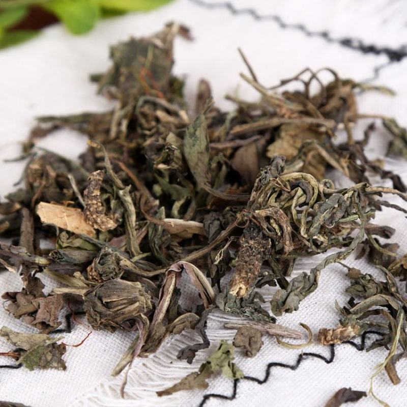 大青叶蓝叶正品保障各种规格专业经营中药批发