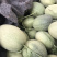 西州蜜25脆甜便宜的三五分钱，微信见头像