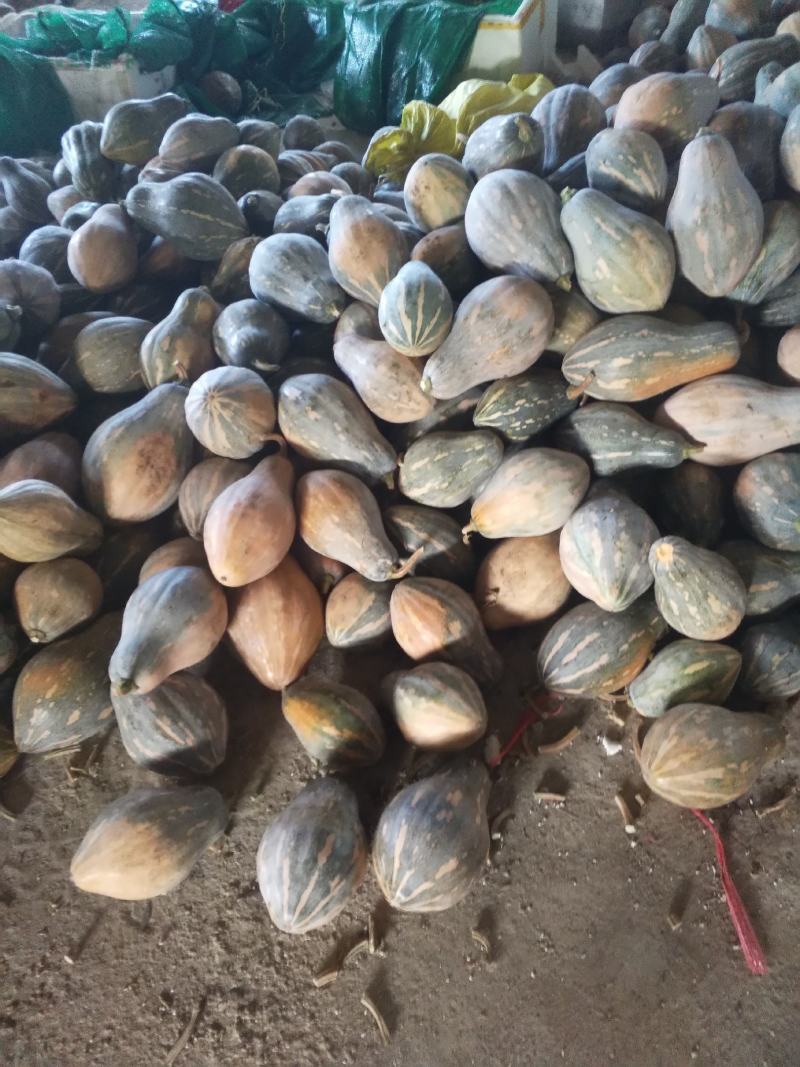 香芋南瓜，香芋味浓，瓜型好专业代办桂林世达农业