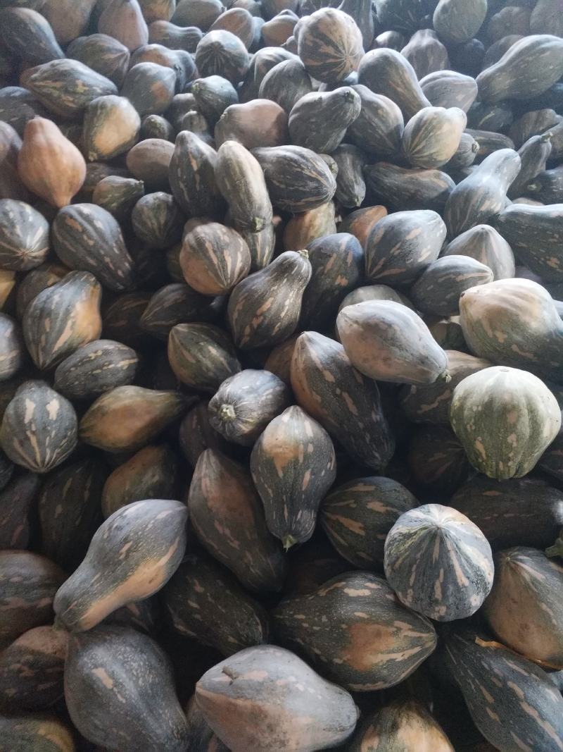 香芋南瓜，香芋味浓，瓜型好专业代办桂林世达农业