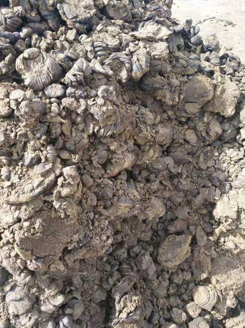 干牛粪，牛粪块，纯牛粪，风干牛粪