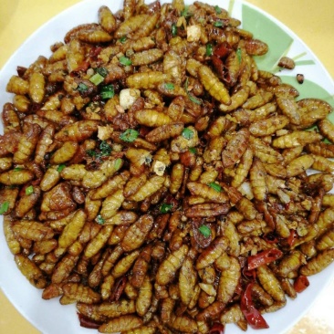 蚕蛹～包邮到家～烧烤必备，饭店畅销