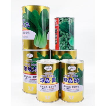 青菜青梗菜种子耐热耐湿500克包邮现货超好吃珍品九九