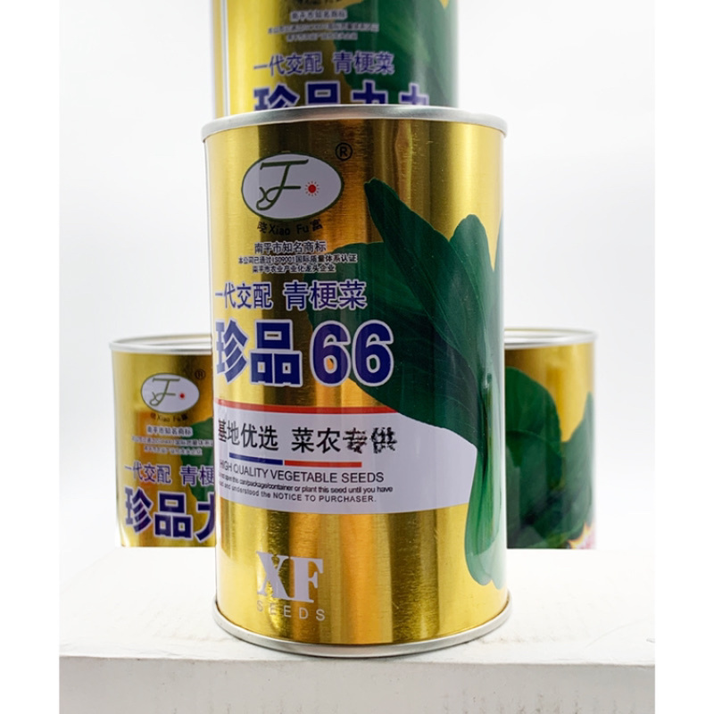 青菜青梗菜种子耐热耐湿500克包邮现货超好吃珍品九九