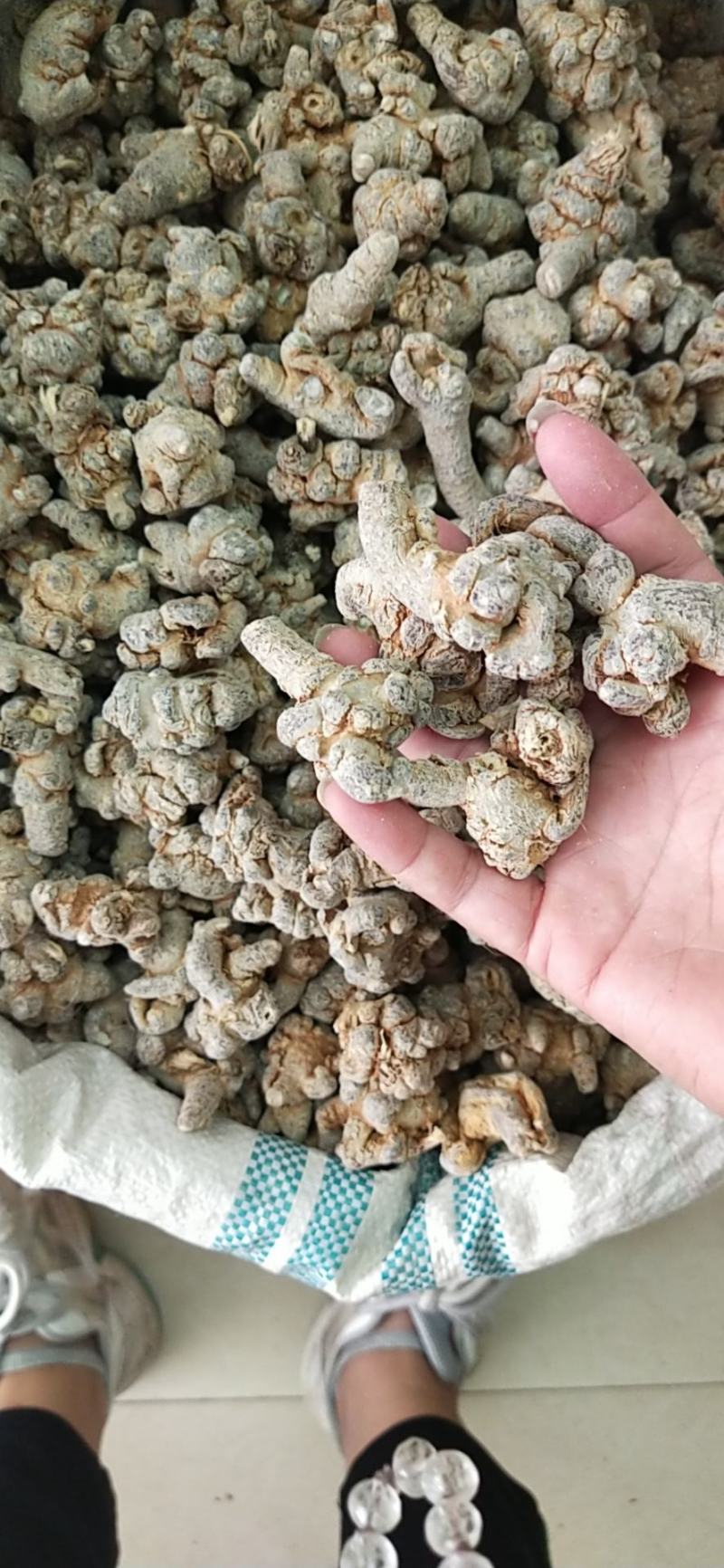 田七云南文山滑头三七(可代磨粉)